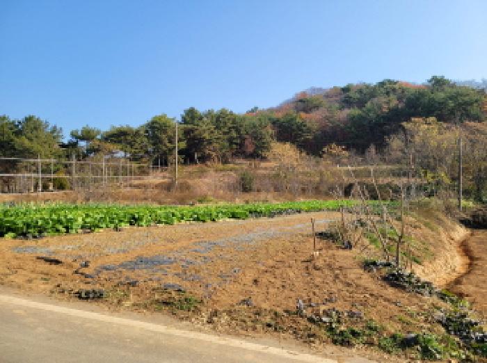 전남 고흥군 과역면 전 경매 물건 사진 2 · 2025타경52132