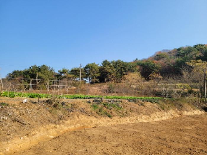 전남 고흥군 과역면 전 경매 물건 사진 5 · 2025타경52132