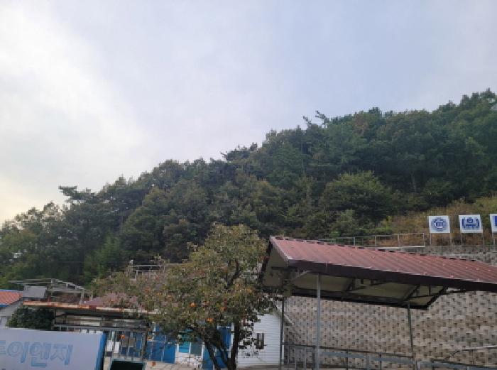 전남 여수시 봉계동 업무시설 경매 물건 사진 6 · 2025타경52152