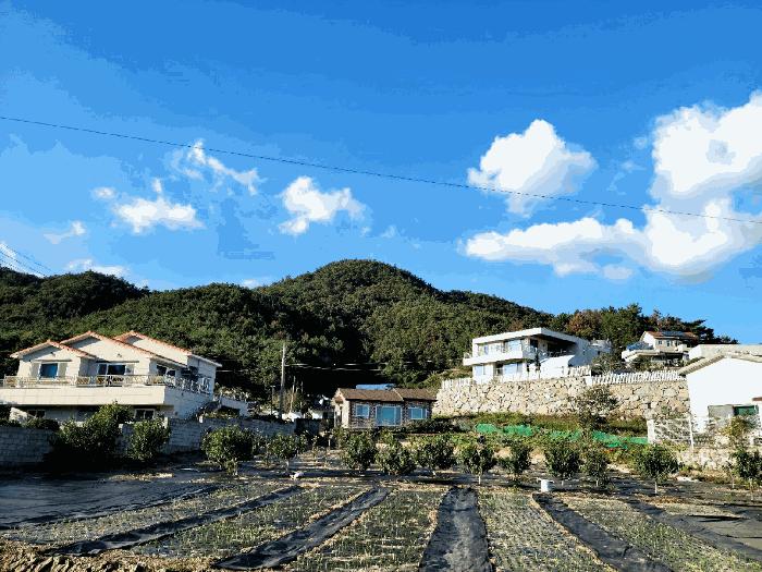 전남 여수시 화양면 임야 경매 물건 사진
