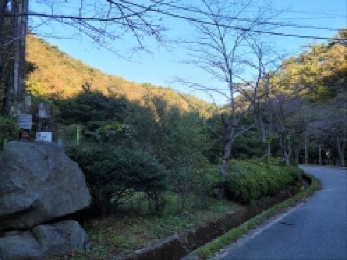 전남 보성군 문덕면 답 경매 물건 사진
