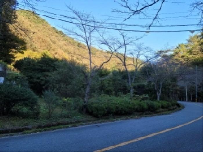전남 보성군 문덕면 답 경매 물건 사진 4 · 2025타경52168