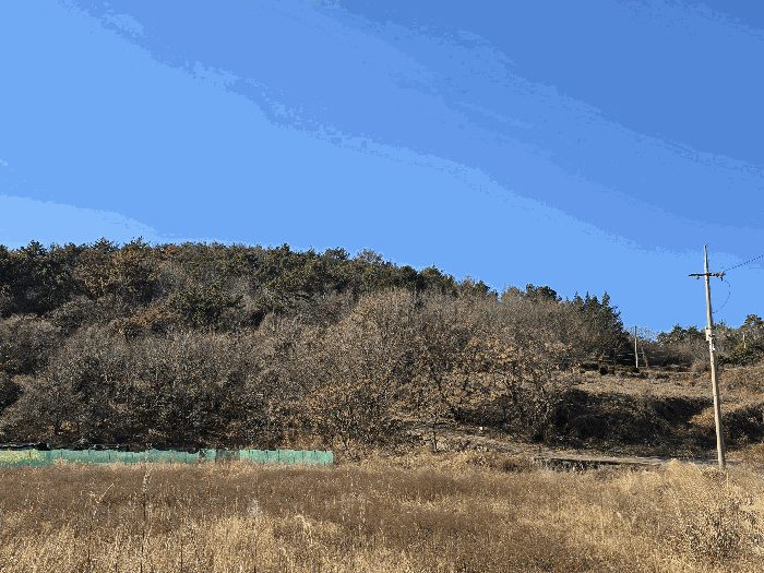 전남 여수시 율촌면 임야 경매 물건 사진 6 · 2025타경52248