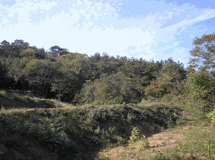 전남 고흥군 두원면 전 경매 물건 사진 6 · 2025타경52254