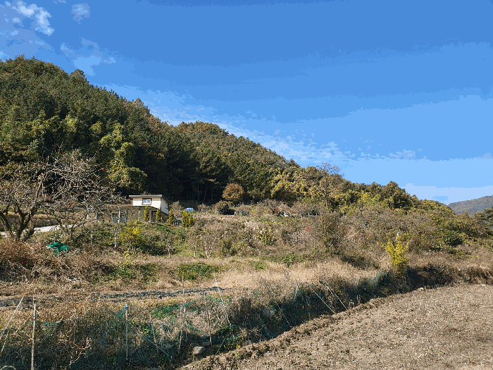 전남 광양시 옥룡면 전 경매 물건 사진 6 · 2025타경52257