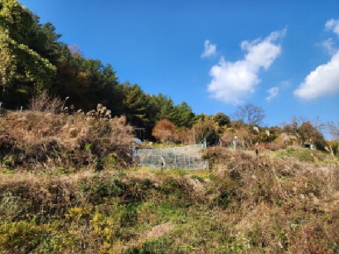 전남 광양시 옥룡면 전 경매 물건 사진 2 · 2025타경52257