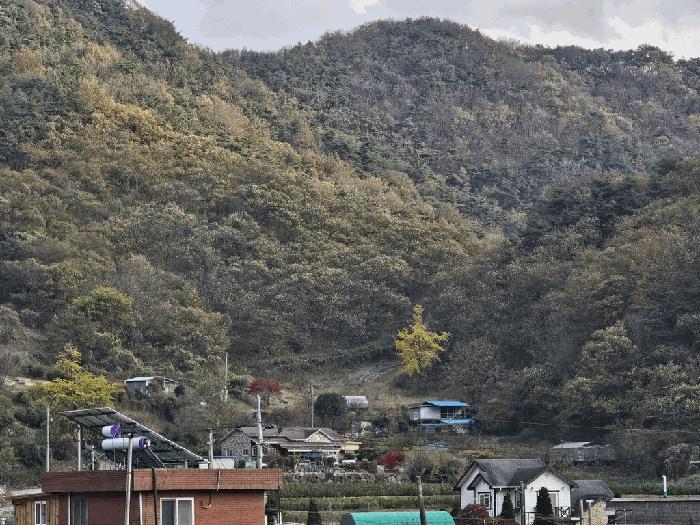 전남 순천시 서면 임야 경매 물건 사진