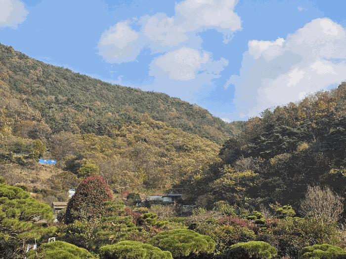 전남 순천시 서면 임야 경매 물건 사진 4 · 2025타경52304