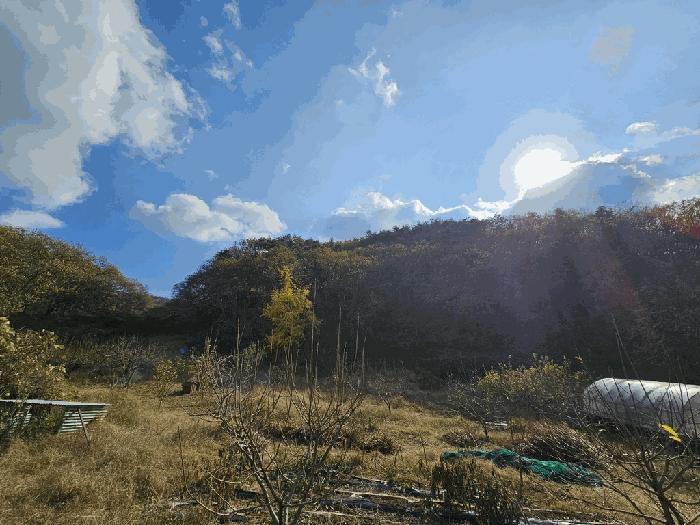 전남 순천시 서면 임야 경매 물건 사진 6 · 2025타경52304