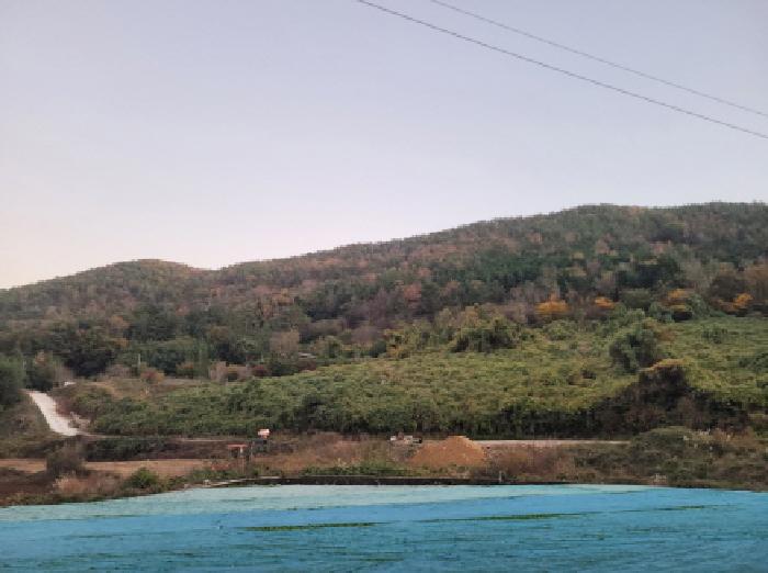 전남 여수시 돌산읍 임야 경매 물건 사진
