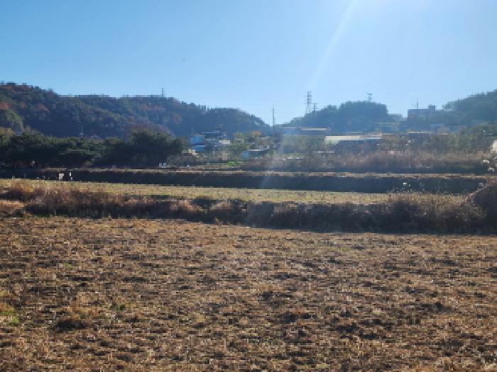 전남 여수시 소라면 전 경매 물건 사진