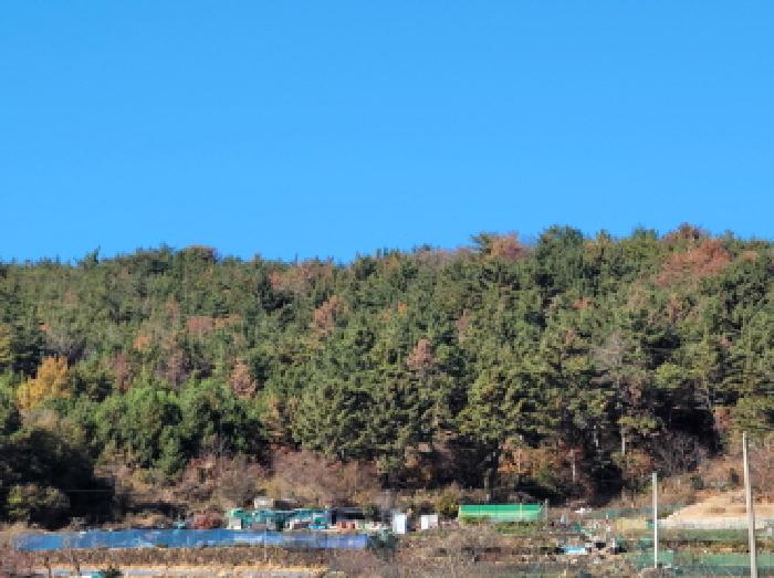 전남 여수시 돌산읍 임야 경매 물건 사진 3 · 2025타경52319