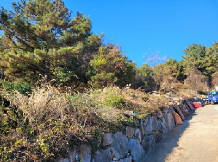 전남 여수시 돌산읍 임야 경매 물건 사진 4 · 2025타경52319