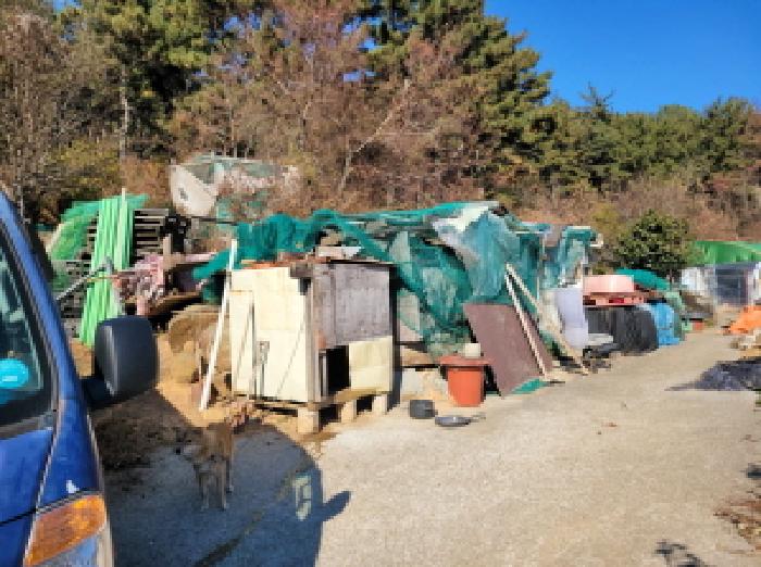 전남 여수시 돌산읍 임야 경매 물건 사진 5 · 2025타경52319