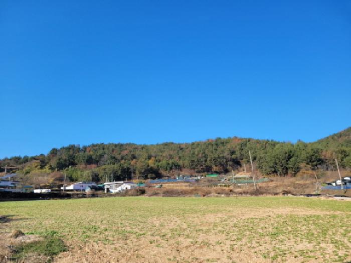 전남 여수시 돌산읍 임야 경매 물건 사진