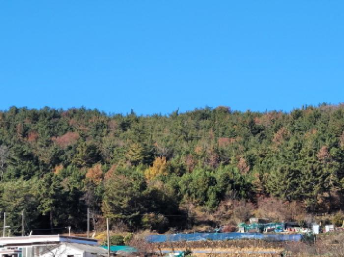 전남 여수시 돌산읍 임야 경매 물건 사진 2 · 2025타경52319