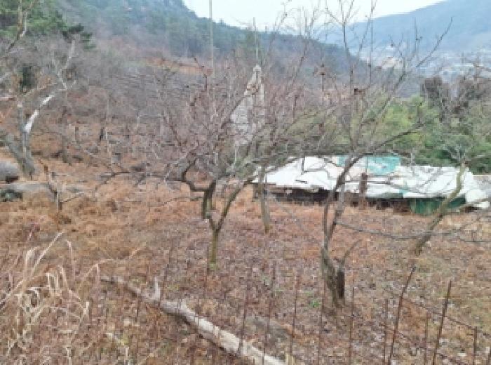 전남 순천시 상사면 대지,임야,전답 경매 물건 사진 5 · 2025타경52320