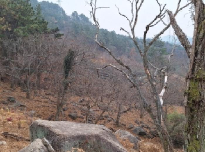 전남 순천시 상사면 대지,임야,전답 경매 물건 사진 6 · 2025타경52320