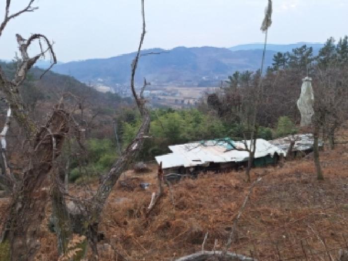 전남 순천시 상사면 대지,임야,전답 경매 물건 사진