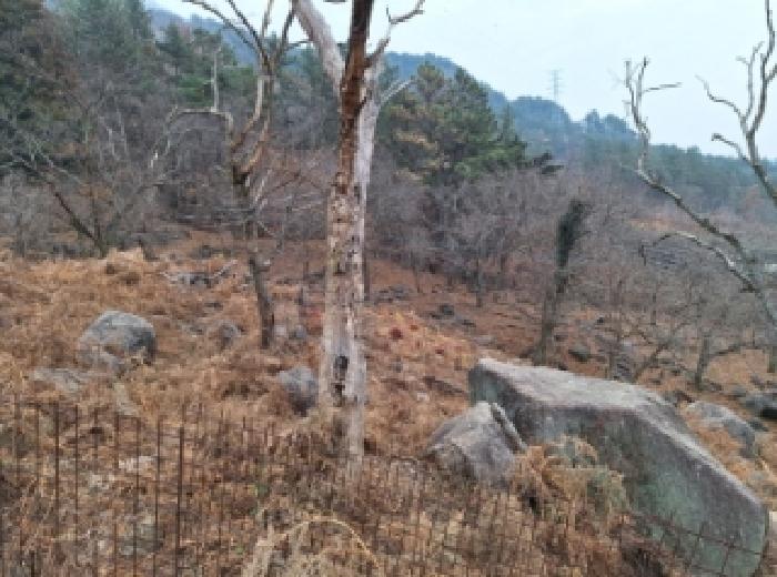 전남 순천시 상사면 대지,임야,전답 경매 물건 사진 2 · 2025타경52320