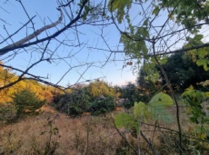 전남 광양시 다압면 창고시설 경매 물건 사진 6 · 2025타경52322
