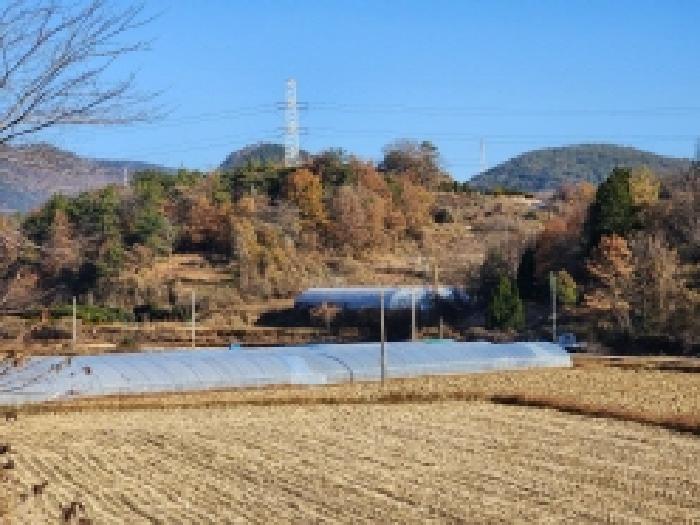 전남 여수시 소라면 답 경매 물건 사진