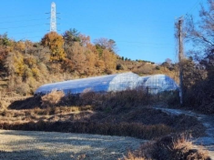전남 여수시 소라면 답 경매 물건 사진 2 · 2025타경52334