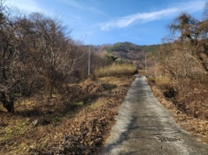 전남 광양시 옥룡면 답 경매 물건 사진