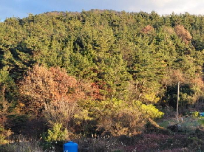전남 고흥군 금산면 답 경매 물건 사진 2 · 2025타경52361