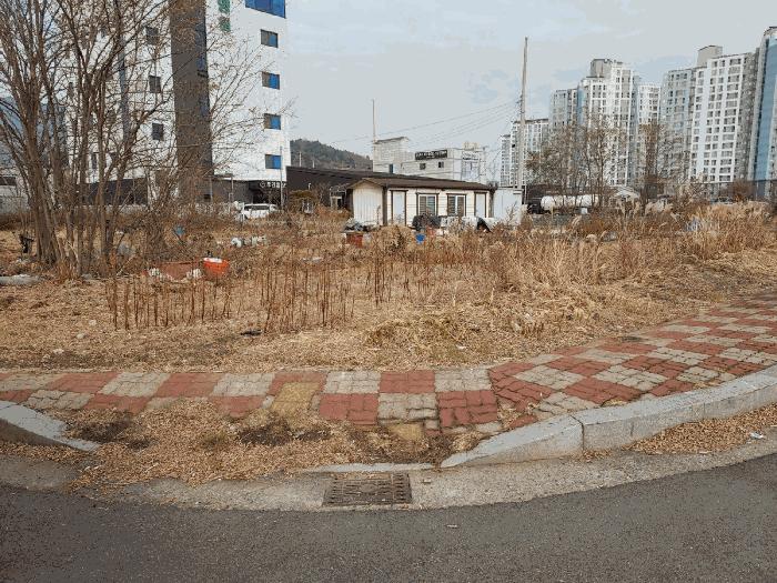 전남 광양시 마동 대지 경매 물건 사진 4 · 2025타경52402