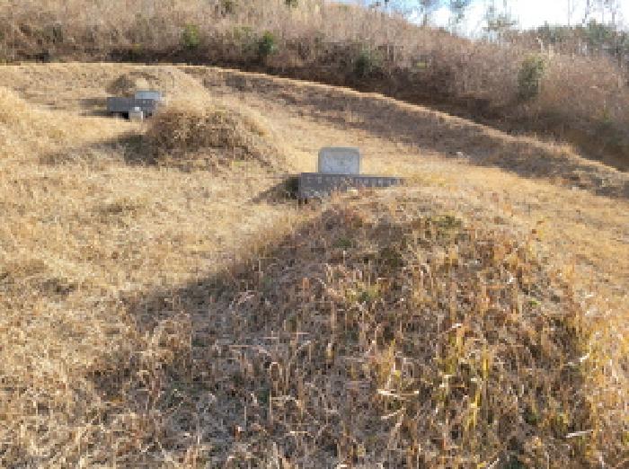 전남 고흥군 포두면 임야 경매 물건 사진