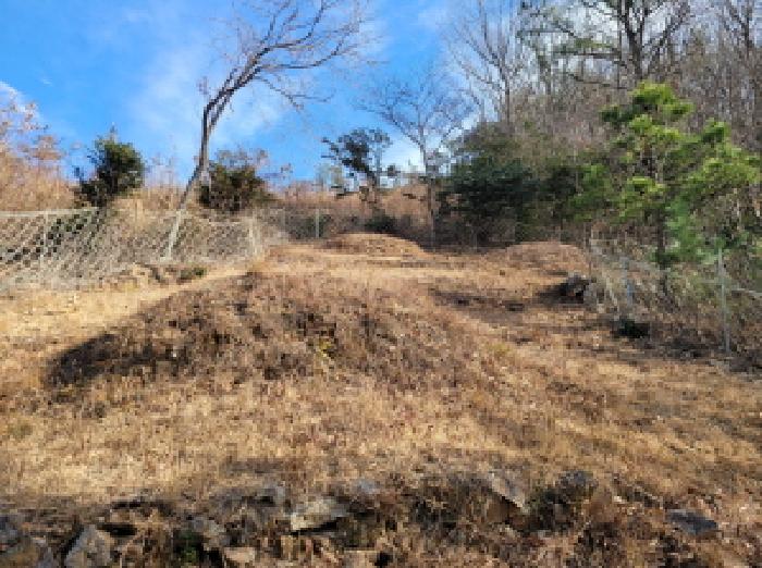 전남 고흥군 포두면 임야 경매 물건 사진 5 · 2025타경52409