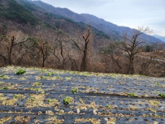 전남 구례군 토지면 임야 경매 물건 사진 3 · 2025타경52410