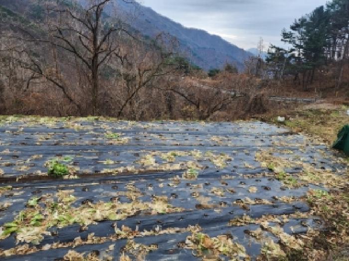 전남 구례군 토지면 임야 경매 물건 사진 5 · 2025타경52410