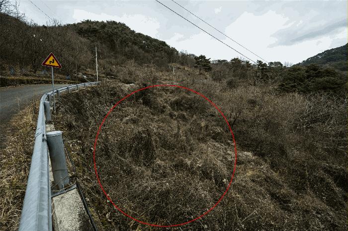 전남 구례군 토지면 임야 경매 물건 사진 6 · 2025타경52410