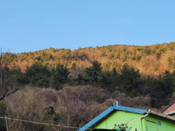 전남 여수시 광무동 임야 경매 물건 사진