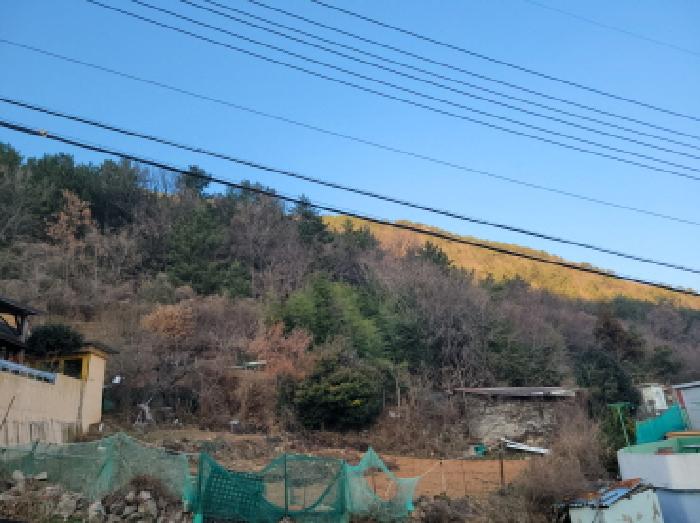 전남 여수시 광무동 임야 경매 물건 사진 3 · 2025타경52413