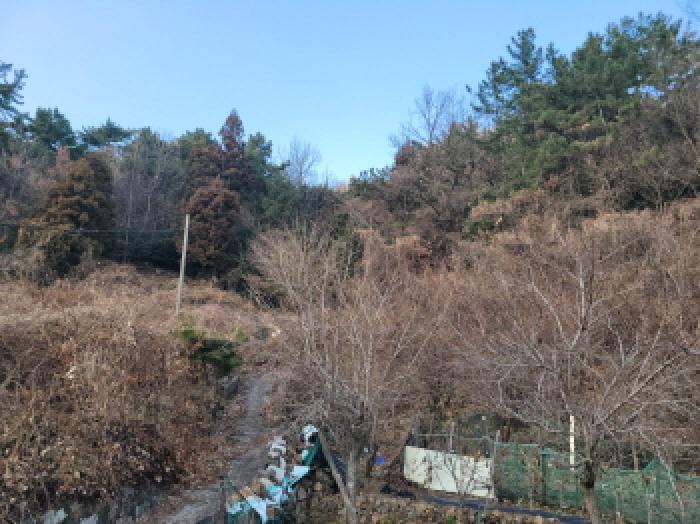 전남 여수시 광무동 임야 경매 물건 사진 4 · 2025타경52413