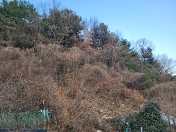 전남 여수시 광무동 임야 경매 물건 사진 5 · 2025타경52413
