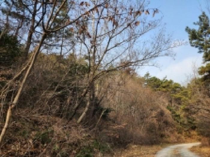 전남 여수시 율촌면 임야 경매 물건 사진 6 · 2025타경52418