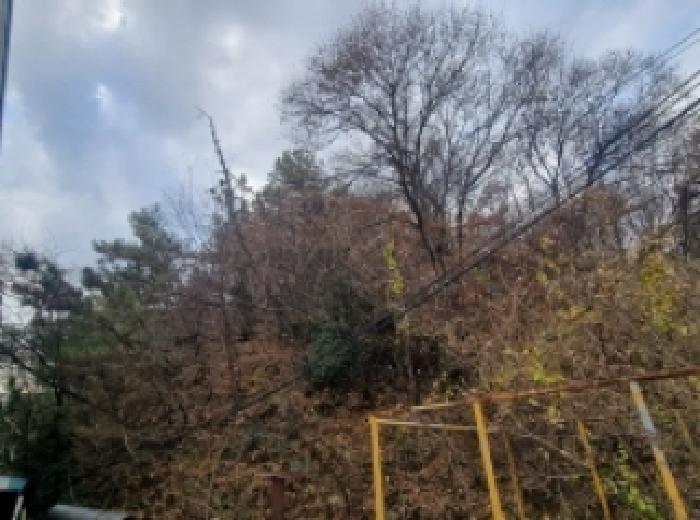 전남 광양시 옥곡면 임야 경매 물건 사진 2 · 2025타경52430