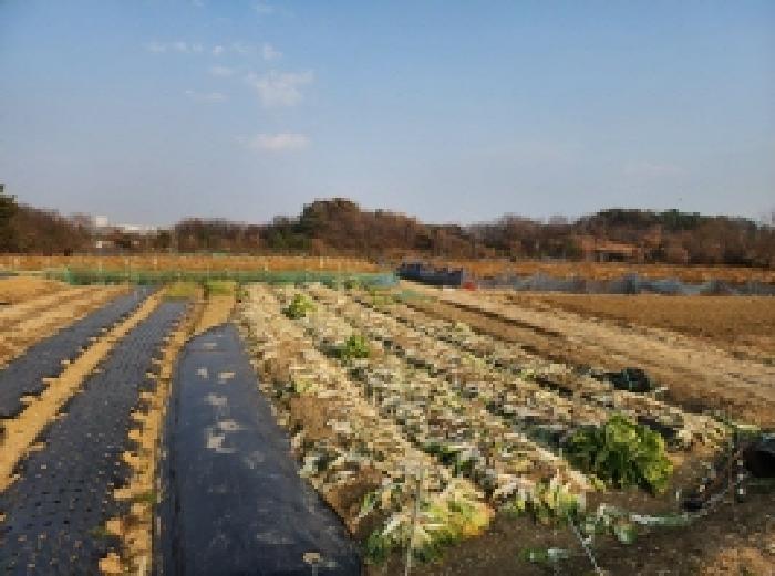 전남 광양시 황길동 전답 경매 물건 사진 3 · 2025타경52438