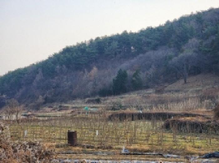 전남 광양시 황길동 전답 경매 물건 사진 4 · 2025타경52438