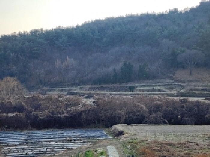 전남 광양시 황길동 전답 경매 물건 사진 5 · 2025타경52438