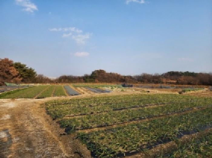 전남 광양시 황길동 전답 경매 물건 사진