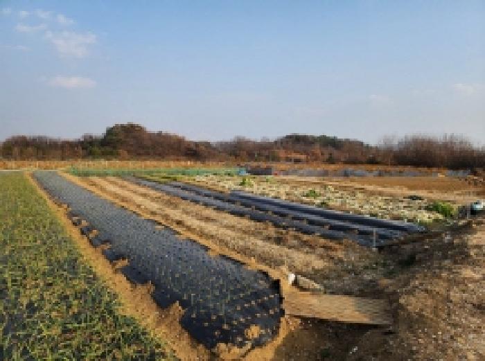 전남 광양시 황길동 전답 경매 물건 사진 2 · 2025타경52438