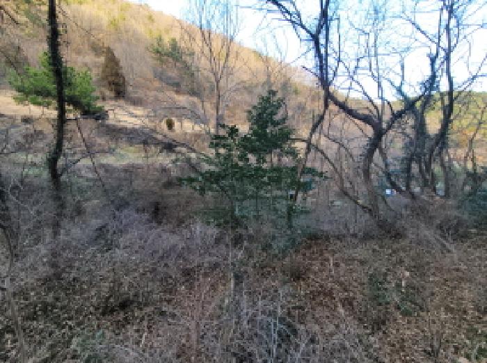 전남 여수시 덕충동 전답 경매 물건 사진