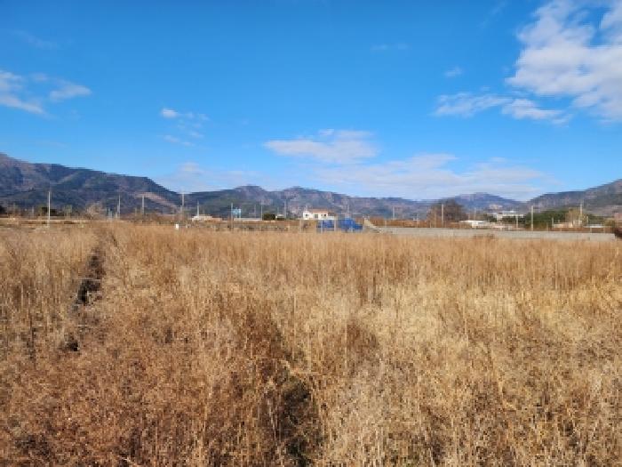 전남 순천시 낙안면 답 경매 물건 사진 2 · 2025타경52454
