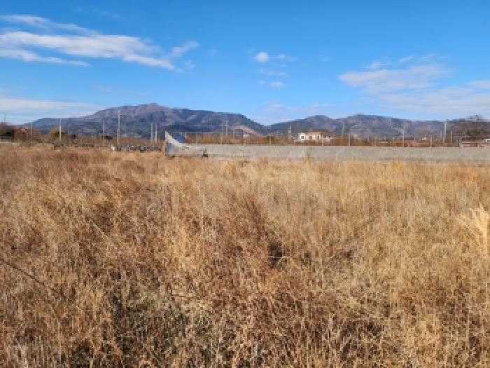 전남 순천시 낙안면 답 경매 물건 사진 5 · 2025타경52454