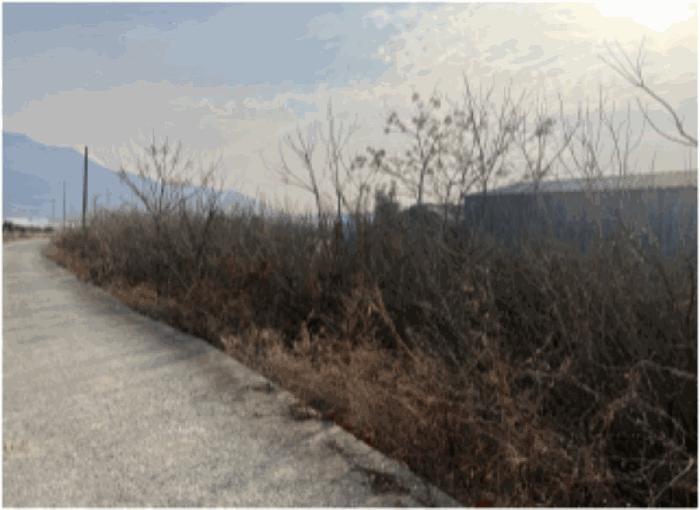 전남 순천시 낙안면 답 경매 물건 사진 4 · 2025타경52454